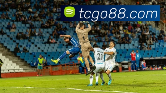 天辰娱乐官网APP 体育赛事宣传图